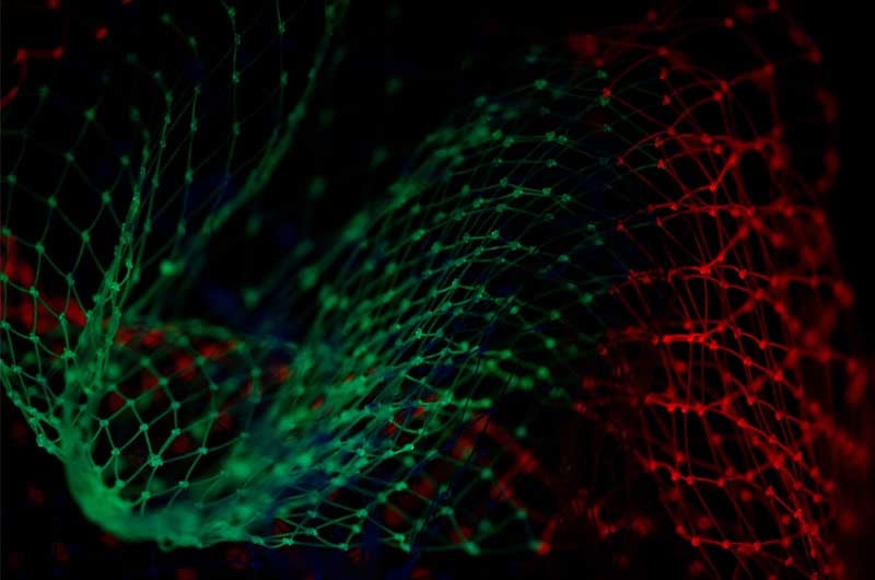 pietro-jeng-n6B49lTx7NM-unsplash-1